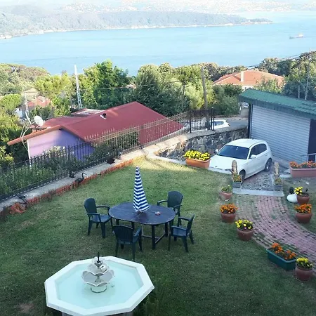 Bosphorusistanbul فيلة