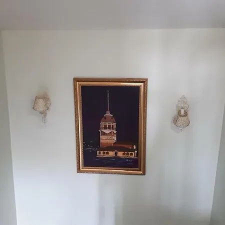 فيلة Bosphorusistanbul *